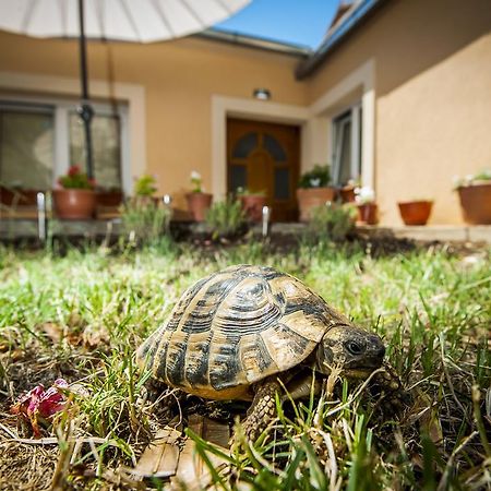 Sebenicum Apartments Šibenik Eksteriør billede